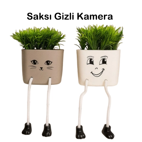 Yapay Saksı Gizli Kamera