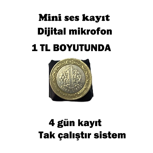 Mini Gizli Ses Kayıt Cihazı